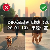 D80商品报价动态（2026-01-10） 来源：互联网 2026-01-18
