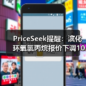 PriceSeek提醒：滨化环氧氯丙烷报价下调100元 来源：互联网 2025-11-06（图4）