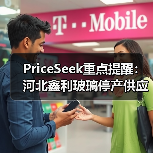 PriceSeek重点提醒：河北鑫利玻璃停产供应减事件 来源：互联网 2025-11-06（图3）