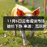 11月6日云南现货市场糖价下跌 来源：互联网 2025-11-06（图4）