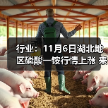 行业：11月6日湖北地区磷酸一铵行情上涨 来源：互联网 2025-11-06（图2）