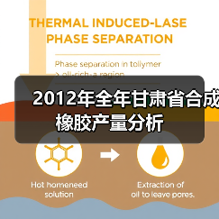 2012年全年甘肃省合成橡胶产量分析（图3）