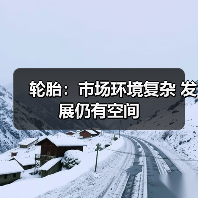 轮胎：市场环境复杂 发展仍有空间（图3）