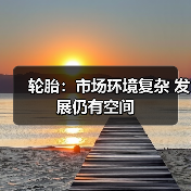 轮胎：市场环境复杂 发展仍有空间（图4）