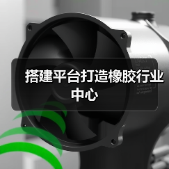 搭建平台打造橡胶行业中心（图2）