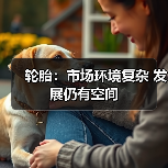 轮胎：市场环境复杂 发展仍有空间（图3）