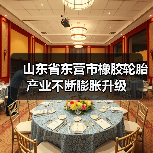 山东省东营市橡胶轮胎产业不断膨胀升级（图2）