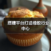 搭建平台打造橡胶行业中心（图3）