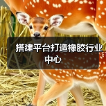搭建平台打造橡胶行业中心（图4）