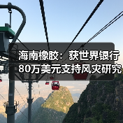 海南橡胶：获世界银行80万美元支持风灾研究