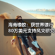 海南橡胶：获世界银行80万美元支持风灾研究（图4）