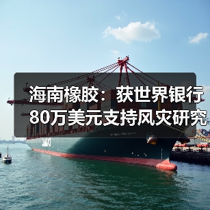 海南橡胶：获世界银行80万美元支持风灾研究（图3）