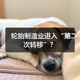 轮胎制造业进入“第二次转移”？（图2）