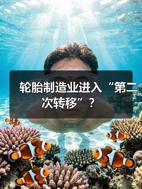 轮胎制造业进入“第二次转移”？（图4）