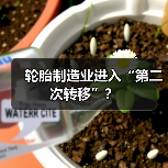 轮胎制造业进入“第二次转移”？（图3）