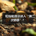 轮胎制造业进入“第二次转移”？（图4）