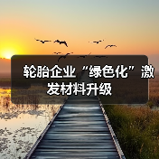 轮胎企业“绿色化”激发材料升级（图4）