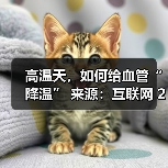 高温天，如何给血管“降温” 来源：互联网 2025-08-22