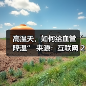 高温天，如何给血管“降温” 来源：互联网 2025-08-22（图2）