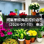 间氟苯胺商品报价动态（2026-01-10） 来源：互联网 2026-01-18（图2）