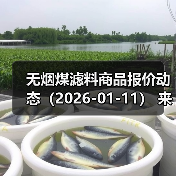 无烟煤滤料商品报价动态（2026-01-11） 来源：互联网 2026-01-18（图4）