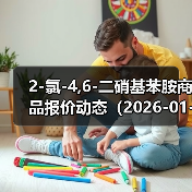 2-氯-4,6-二硝基苯胺商品报价动态（2026-01-12） 来源：互联网 2026-01-18