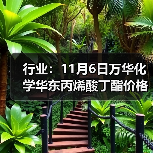 行业：11月6日万华化学华东丙烯酸丁酯价格下调 来源：互联网 2025-11-06（图4）