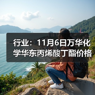 行业：11月6日万华化学华东丙烯酸丁酯价格下调 来源：互联网 2025-11-06