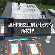 温州橡胶业创新模式有新花样（图2）