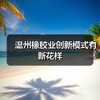 温州橡胶业创新模式有新花样（图4）