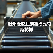 温州橡胶业创新模式有新花样（图3）