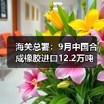 海关总署：9月中国合成橡胶进口12.2万吨
