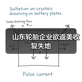 山东轮胎企业欲返美收复失地（图2）