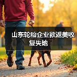 山东轮胎企业欲返美收复失地