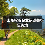 山东轮胎企业欲返美收复失地（图3）