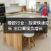 橡胶行业：投资快速增长 出口首现负增长（图2）