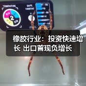橡胶行业：投资快速增长 出口首现负增长（图3）
