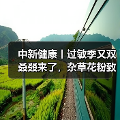 中新健康丨过敏季又双叒叕来了，杂草花粉致敏性更强 来源：互联网 2025-08-18（图4）